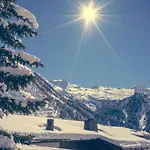 Hotel Alpenbad Hohenhaus 4*
