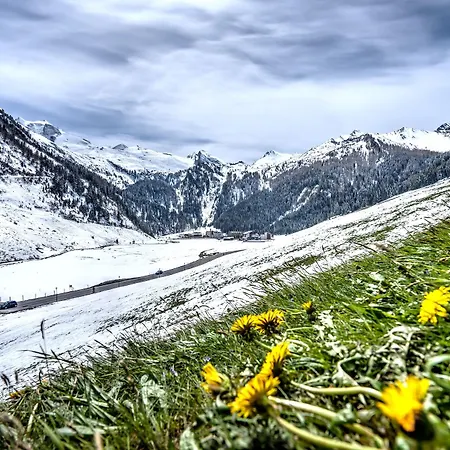 Alpenbad Hohenhaus فندق تكس