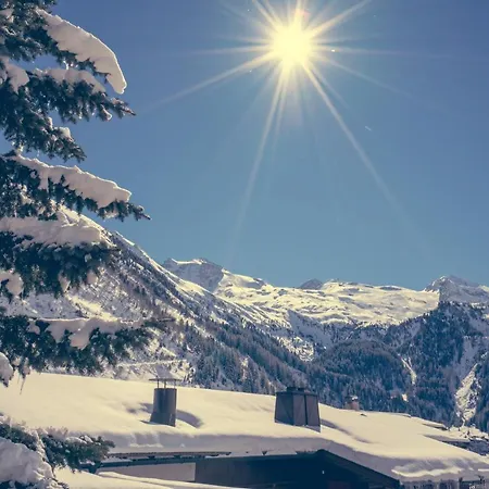 فندق Alpenbad Hohenhaus 4*