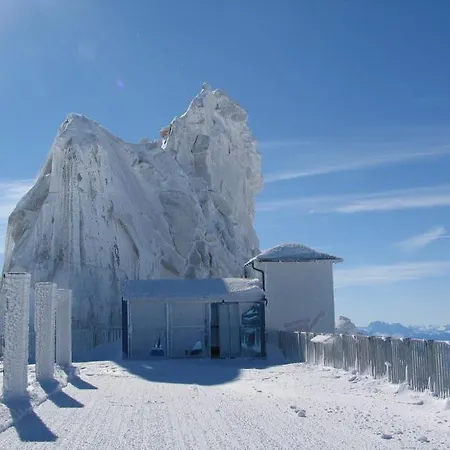 Hotel Alpenbad Hohenhaus Tux