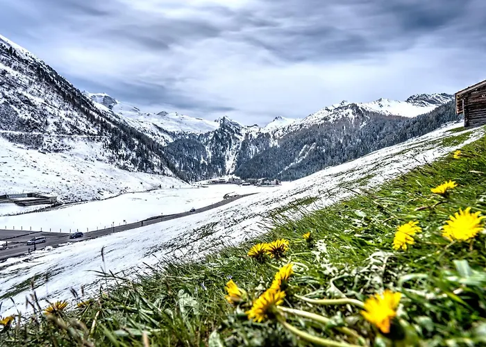 Alpenbad Hohenhaus Ξενοδοχείο Tux