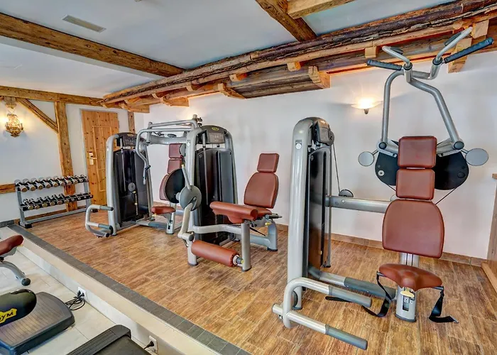 Alpenbad Hohenhaus Ξενοδοχείο Tux