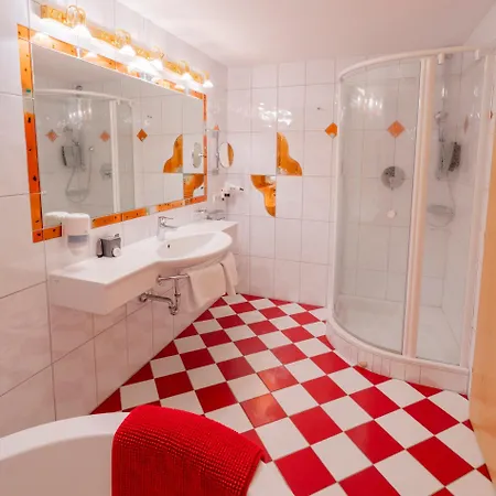 Alpenbad Hohenhaus Hotell 4*