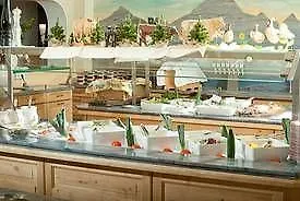 Hotel Alpenbad Hohenhaus 4*